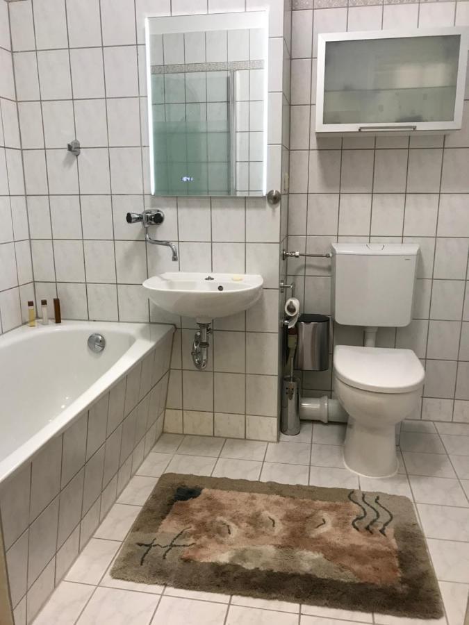 Zentrumsnahe Leipzig-Apartments, Nahe Ufz Und Bmw Inkl Parkplatz Und Fahrraeder 外观 照片