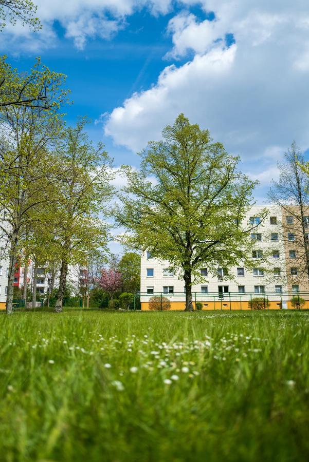 Zentrumsnahe Leipzig-Apartments, Nahe Ufz Und Bmw Inkl Parkplatz Und Fahrraeder 外观 照片