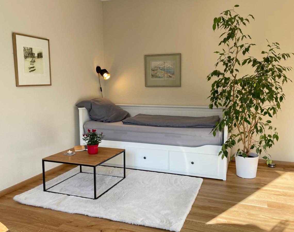 Zentrumsnahe Leipzig-Apartments, Nahe Ufz Und Bmw Inkl Parkplatz Und Fahrraeder 外观 照片